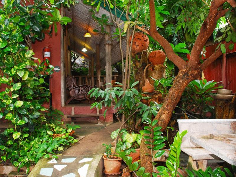 Sukhothai Guest House Номер фото